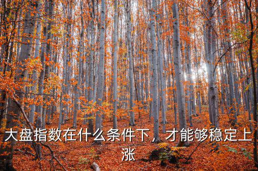什么是指數穩定,大盤指數在什么條件下