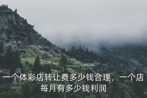 一個體彩店轉讓費多少錢合理，一個店每月有多少錢利潤