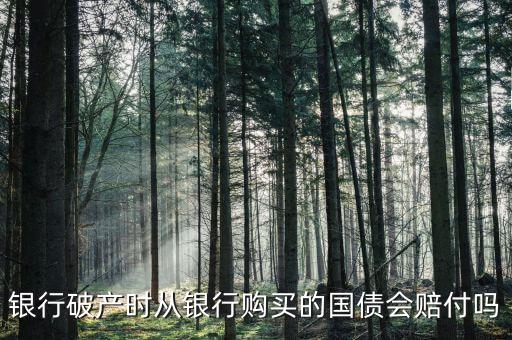銀行破產時從銀行購買的國債會賠付嗎