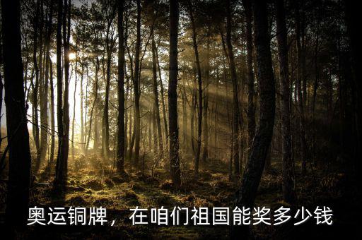 奧運銅牌，在咱們祖國能獎多少錢