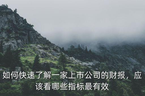 如何快速了解一家上市公司的財報，應該看哪些指標最有效