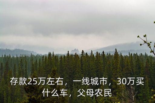 存款25萬左右，一線城市，30萬買什么車，父母農民