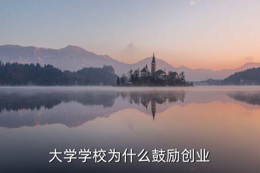大學學校為什么鼓勵創業