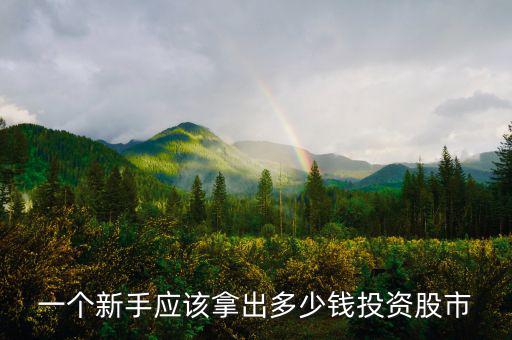 一個新手應該拿出多少錢投資股市