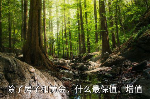 除了房子和黃金，什么最保值、增值
