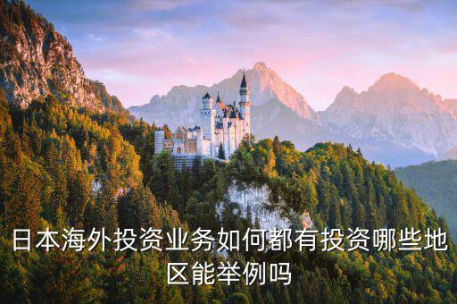日本人投資什么,日本海外投資業務如何