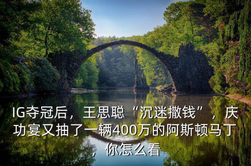 IG奪冠后，王思聰“沉迷撒錢”，慶功宴又抽了一輛400萬的阿斯頓馬丁，你怎么看