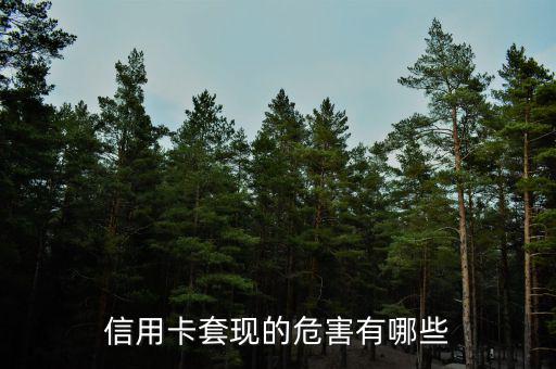 信用卡套現的危害有哪些
