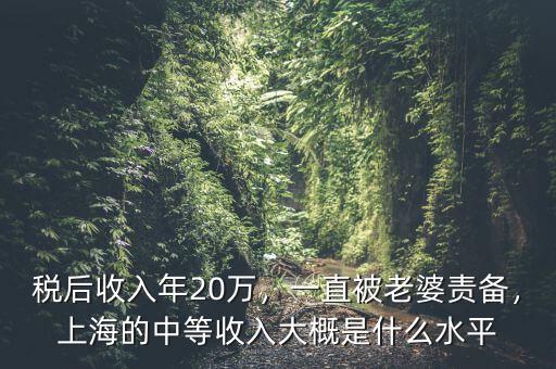 稅后收入年20萬，一直被老婆責備，上海的中等收入大概是什么水平