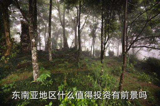東南亞地區什么值得投資有前景嗎