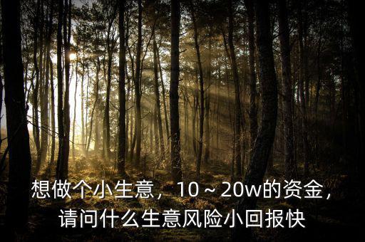 想做個小生意，10～20w的資金，請問什么生意風(fēng)險小回報快