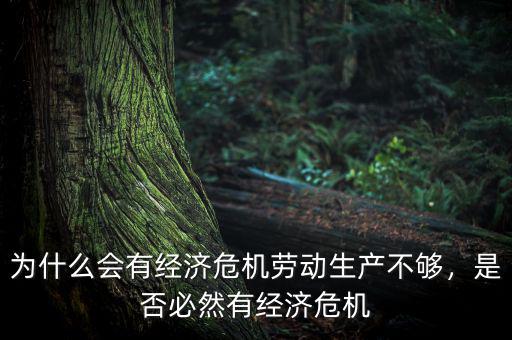 為什么會有經濟危機勞動生產不夠，是否必然有經濟危機