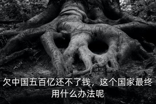 欠中國(guó)五百億還不了錢(qián)，這個(gè)國(guó)家最終用什么辦法呢