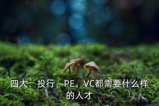 四大、投行、PE、VC都需要什么樣的人才