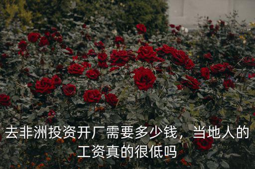 去非洲投資開廠需要多少錢，當地人的工資真的很低嗎