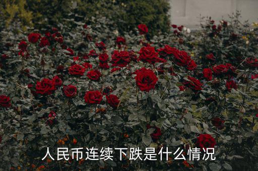 人民幣連續下跌是什么情況