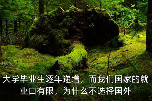 大學(xué)畢業(yè)生逐年遞增，而我們國(guó)家的就業(yè)口有限，為什么不選擇國(guó)外