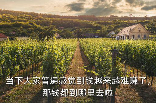 當下大家普遍感覺到錢越來越難賺了，那錢都到哪里去啦