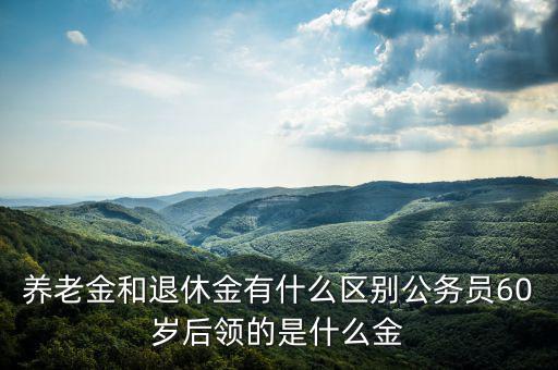 養老金和退休金有什么區別公務員60歲后領的是什么金