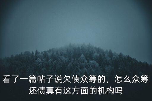 看了一篇帖子說欠債眾籌的，怎么眾籌還債真有這方面的機構嗎