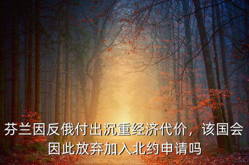 芬蘭的靠什么經濟,芬蘭因反俄付出沉重經濟代價