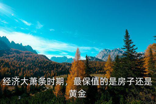 日本經濟大蕭條期間什么最升值,經濟大蕭條時期