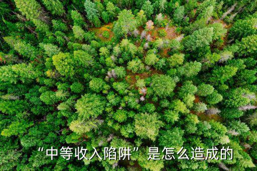 中等收入現象是什么,稅后收入年20萬