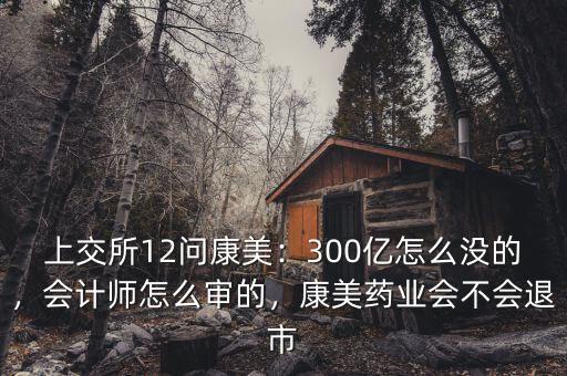 上交所12問康美：300億怎么沒的，會計師怎么審的，康美藥業會不會退市