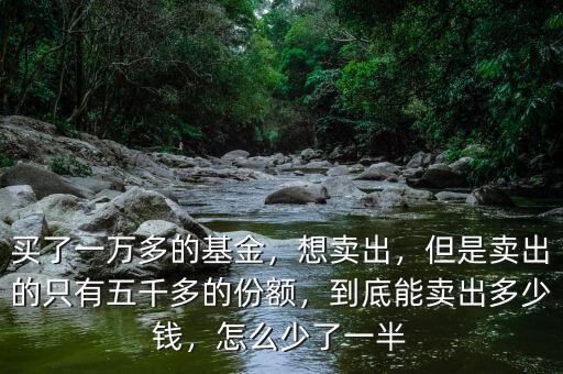 買了一萬多的基金，想賣出，但是賣出的只有五千多的份額，到底能賣出多少錢，怎么少了一半