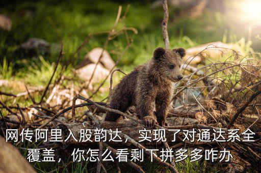 網傳阿里入股韻達，實現了對通達系全覆蓋，你怎么看剩下拼多多咋辦
