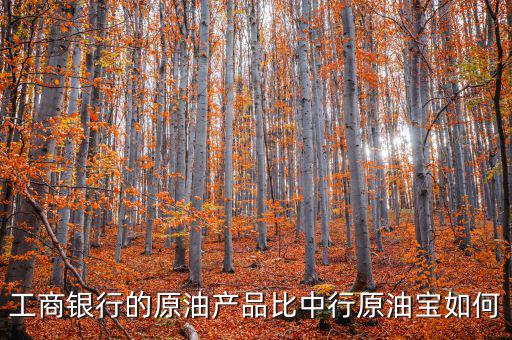 工商銀行的原油產品比中行原油寶如何