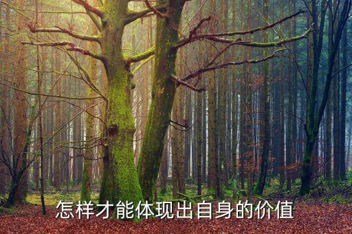 怎樣才能體現出自身的價值