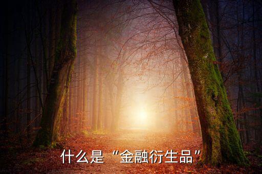 為什么金融衍生物可以避險,其它還有什么是避險資產嗎