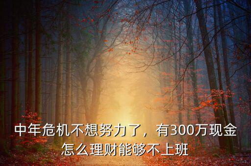中年危機不想努力了，有300萬現金怎么理財能夠不上班