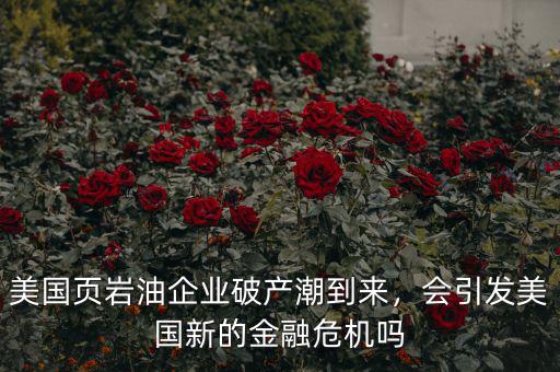 美國頁巖油企業破產潮到來，會引發美國新的金融危機嗎