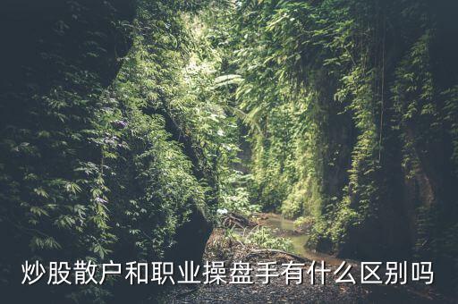 炒股散戶和職業操盤手有什么區別嗎