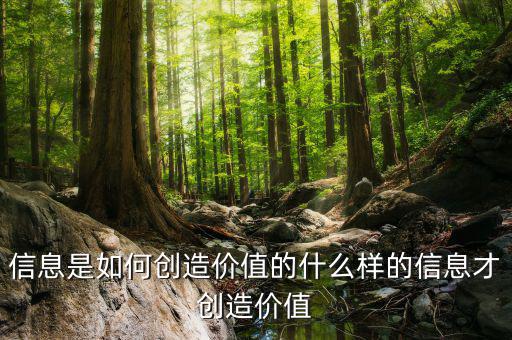 匯源集團創造價值活動是什么,信息是如何創造價值的