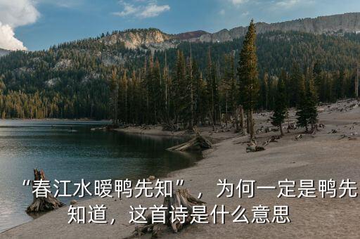“春江水曖鴨先知”，為何一定是鴨先知道，這首詩是什么意思