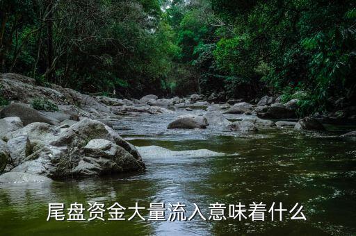 尾盤資金流入代表什么,外資流入狀態