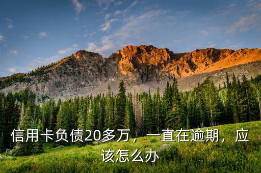 信用卡負(fù)債20多萬，一直在逾期，應(yīng)該怎么辦