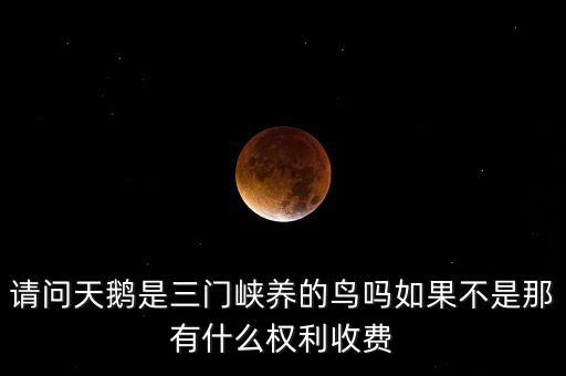 天鵝是什么之鳥,請(qǐng)問(wèn)天鵝是三門峽養(yǎng)的鳥嗎