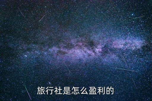 驢媽媽旅游網的盈利模式怎么改善,旅行社是怎么盈利的