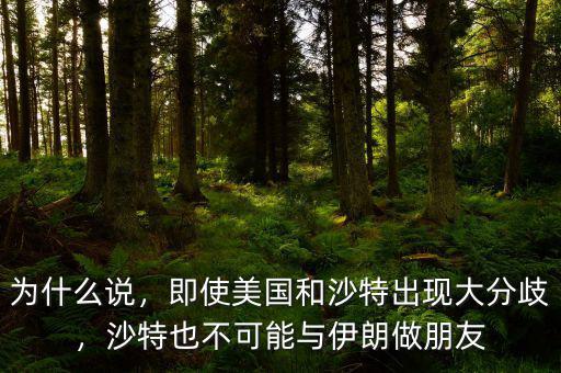 為什么說(shuō)，即使美國(guó)和沙特出現(xiàn)大分歧，沙特也不可能與伊朗做朋友