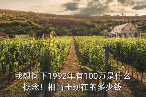 我想問下1992年有100萬是什么概念！相當于現在的多少錢