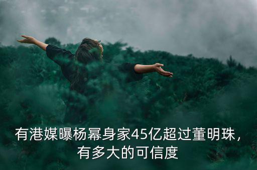 董明珠有多少錢,董明珠再發格力手機