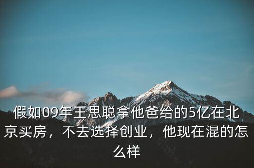 假如09年王思聰拿他爸給的5億在北京買房，不去選擇創業，他現在混的怎么樣