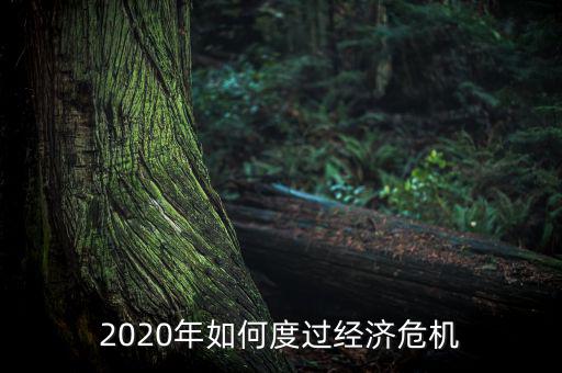 2020年如何度過經濟危機