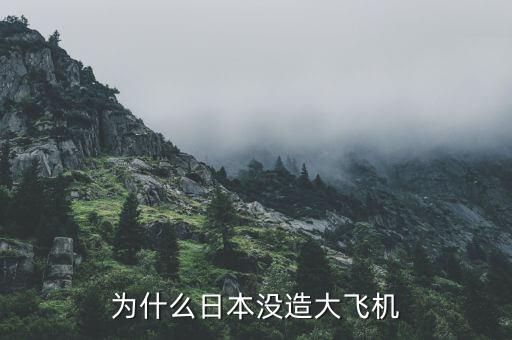 大飛機為什么停止研發,為什么日本沒造大飛機