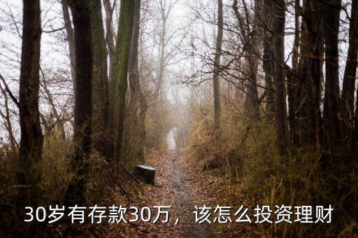 30歲有存款30萬，該怎么投資理財
