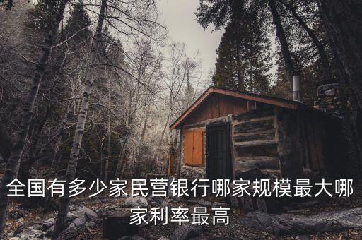 全國有多少家民營銀行哪家規模最大哪家利率最高